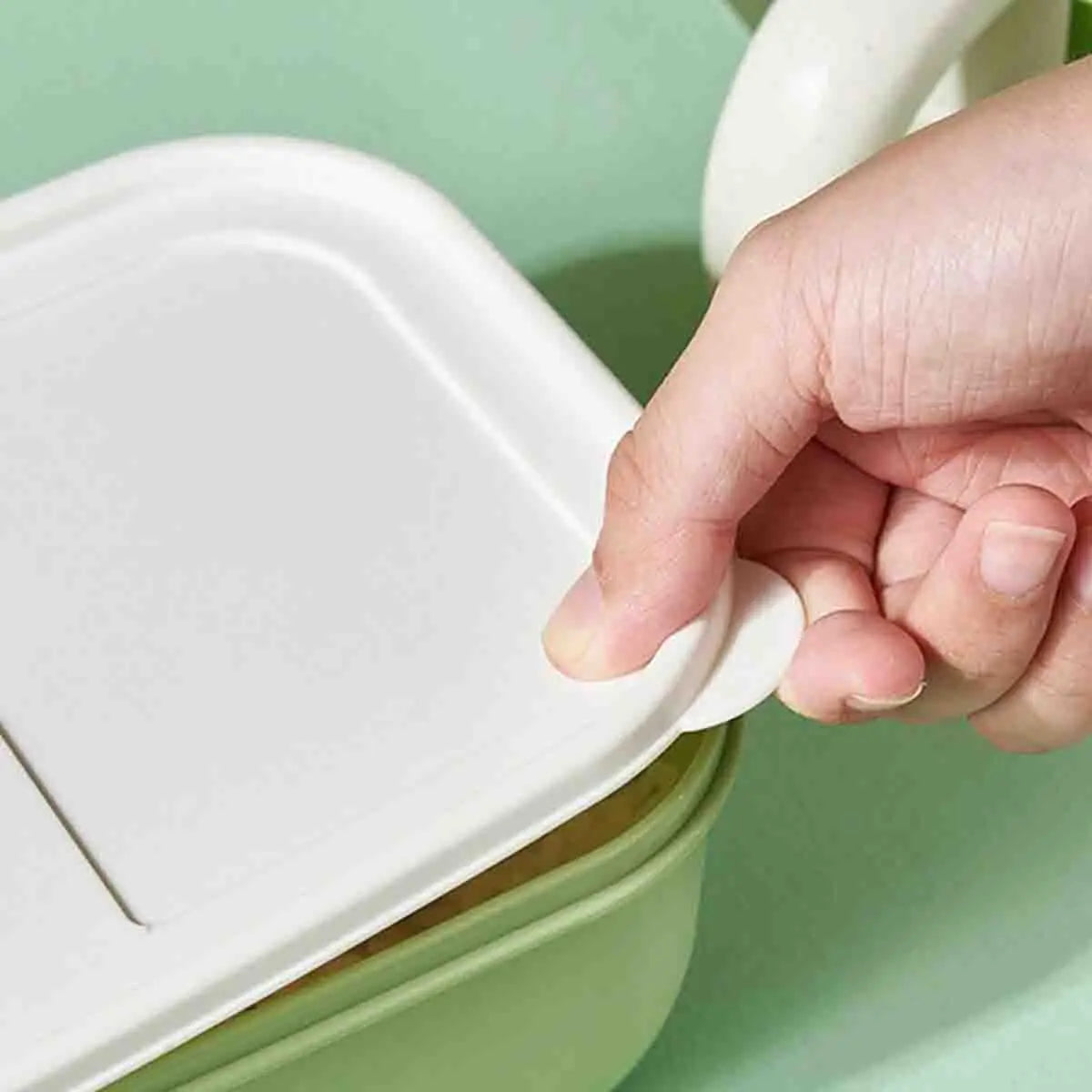 Hand opening a white lid on a green kawaii food container against a light green background