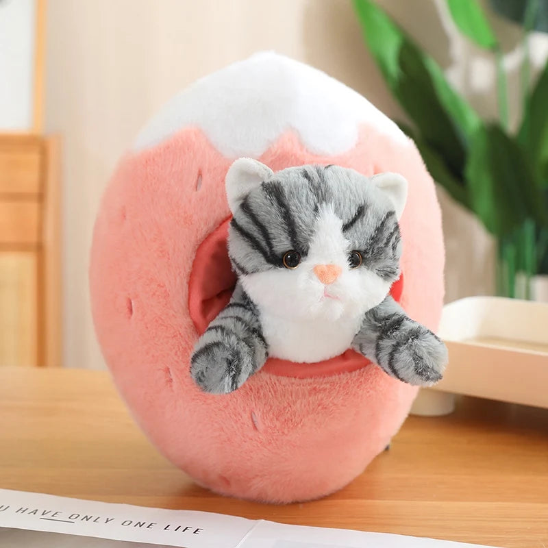 Kawaii plush toy cat inside a pink ball on a wooden surface
