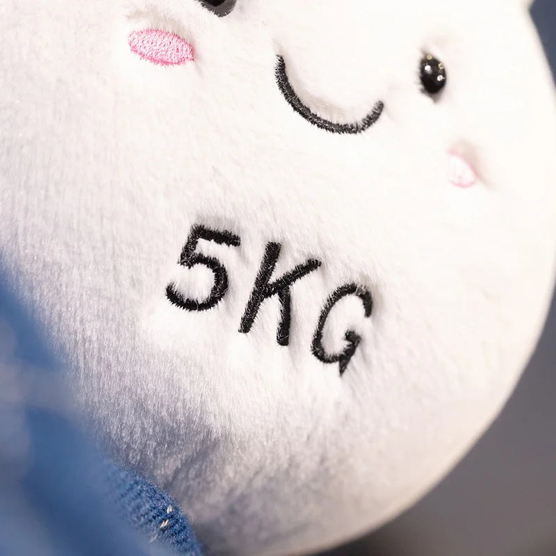 Close-up of a white kawaii plush toy with '5KG' text on a blurred background