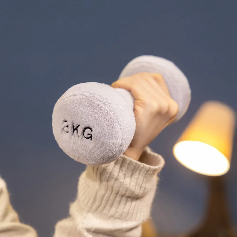 Person holding a light gray kawaii plush dumbbell with '5KG' marking against a blurred background